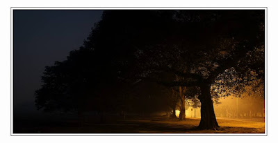 রাত্রি এসে যেথায় মেশে